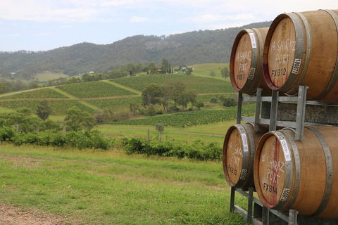 Hunter Valley Wine Tour From Sydney Incl Lunch, Cheese, Chocolate And Distillery - Accommodation Guide 5