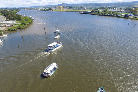 2.5 Hour Morning Discovery Cruise Including Sailing Into The Cataract Gorge - Accommodation Guide 4