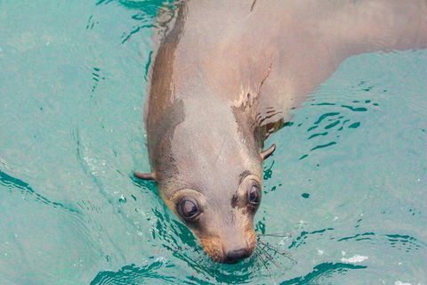 Wilsons Promontory Full Day Cruise - Accommodation Guide 0