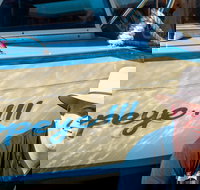 Torrens River Cruise in Adelaide - Accommodation China