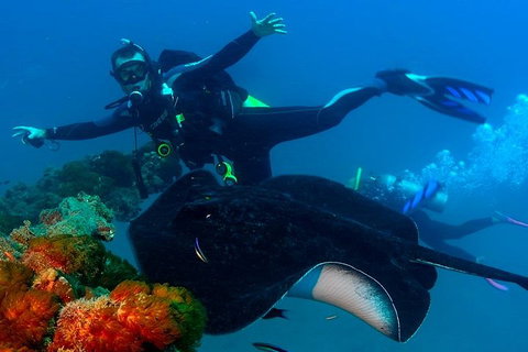 Scuba Dive The S.S. Yongala Wreck On The Great Barrier Reef. - Accommodation Guide 0