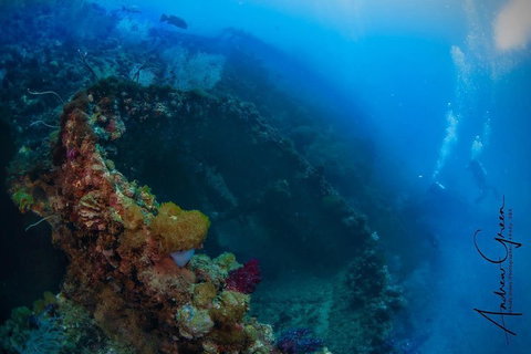 Scuba Dive The S.S. Yongala Wreck On The Great Barrier Reef. - Accommodation Guide 3