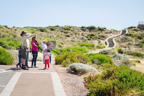 Margaret River Coastal And Wildlife Eco Trip From Busselton Or Dunsborough - Accommodation Guide 0
