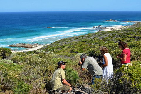 Margaret River Coastal And Wildlife Eco Trip From Busselton Or Dunsborough - Accommodation Guide 2