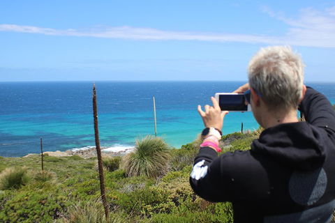 Margaret River Coastal And Wildlife Eco Trip From Busselton Or Dunsborough - Accommodation Guide 3