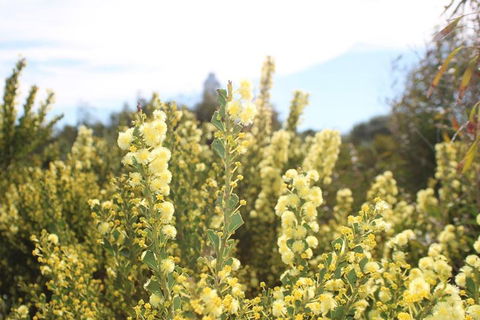 Margaret River Coastal And Wildlife Eco Trip From Busselton Or Dunsborough - Accommodation Guide 4