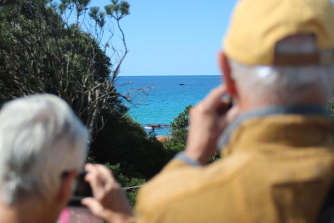 Margaret River Coastal And Wildlife Eco Trip From Busselton Or Dunsborough - Accommodation Guide 5